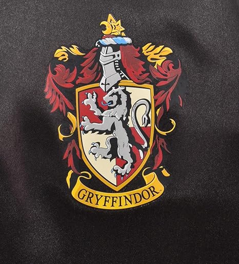 Pack Costume Et Lunettes Harry Potter Ciao Wizarding World