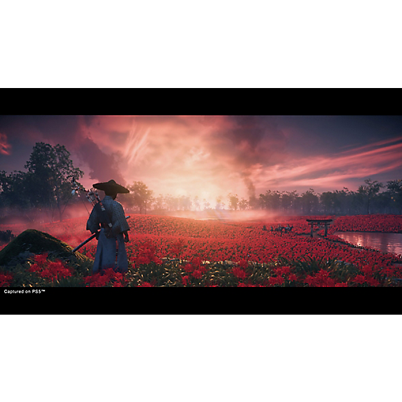 Ghost Of Tsushima Director's Cut PS4