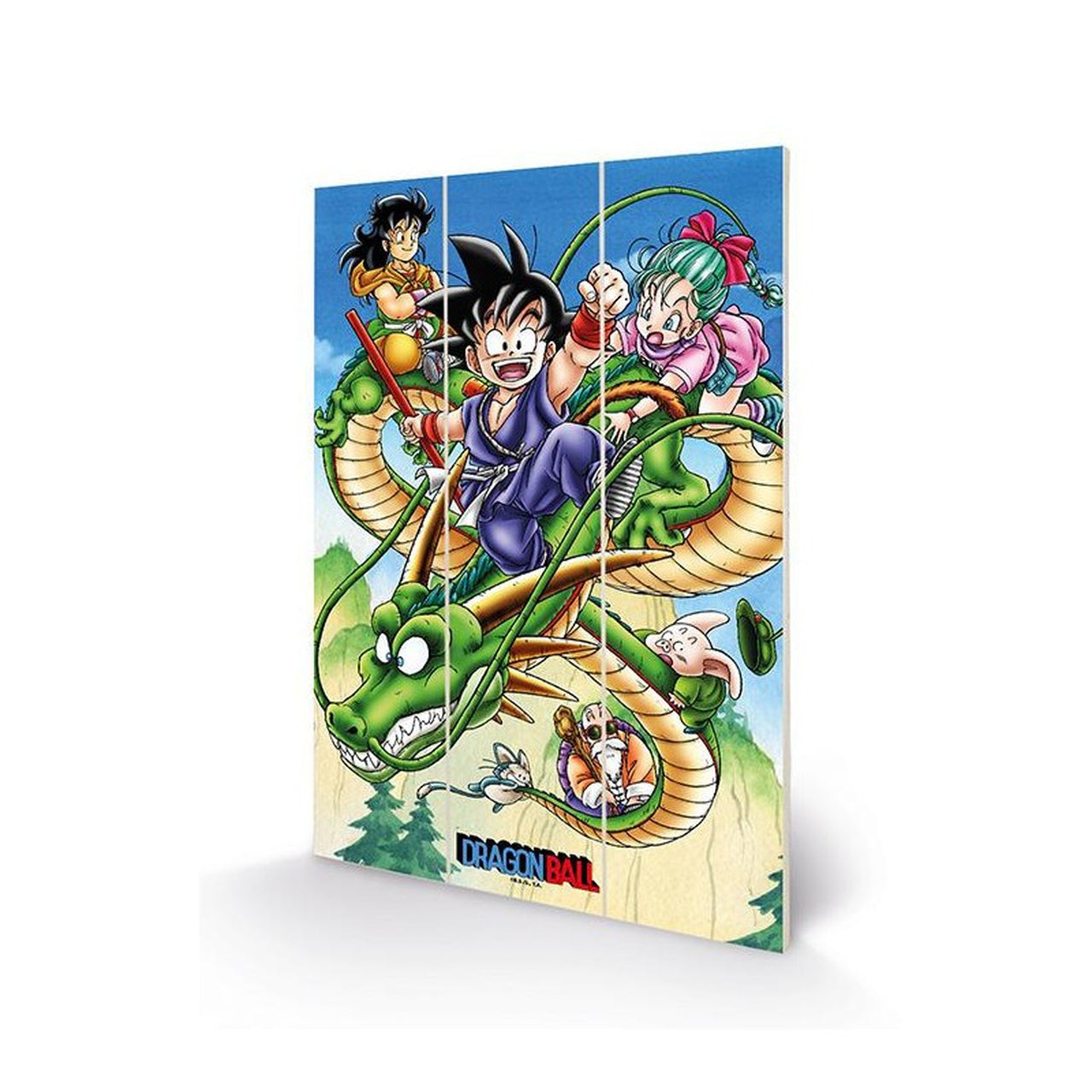 Impression Sur Bois DRAGON BALL 20x29.5 cm