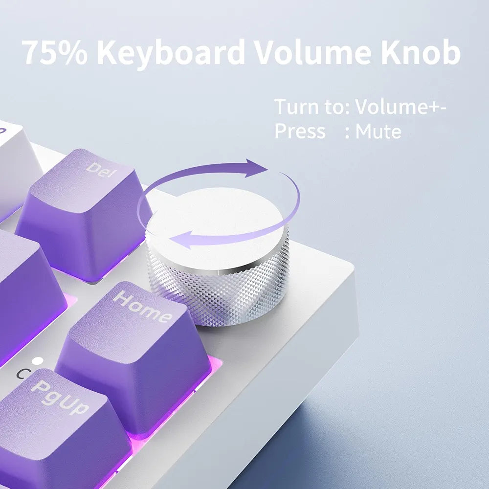 Clavier mécanique Avec Fil Ajazz AK820   - Purple & White |  Gaming Keyboard